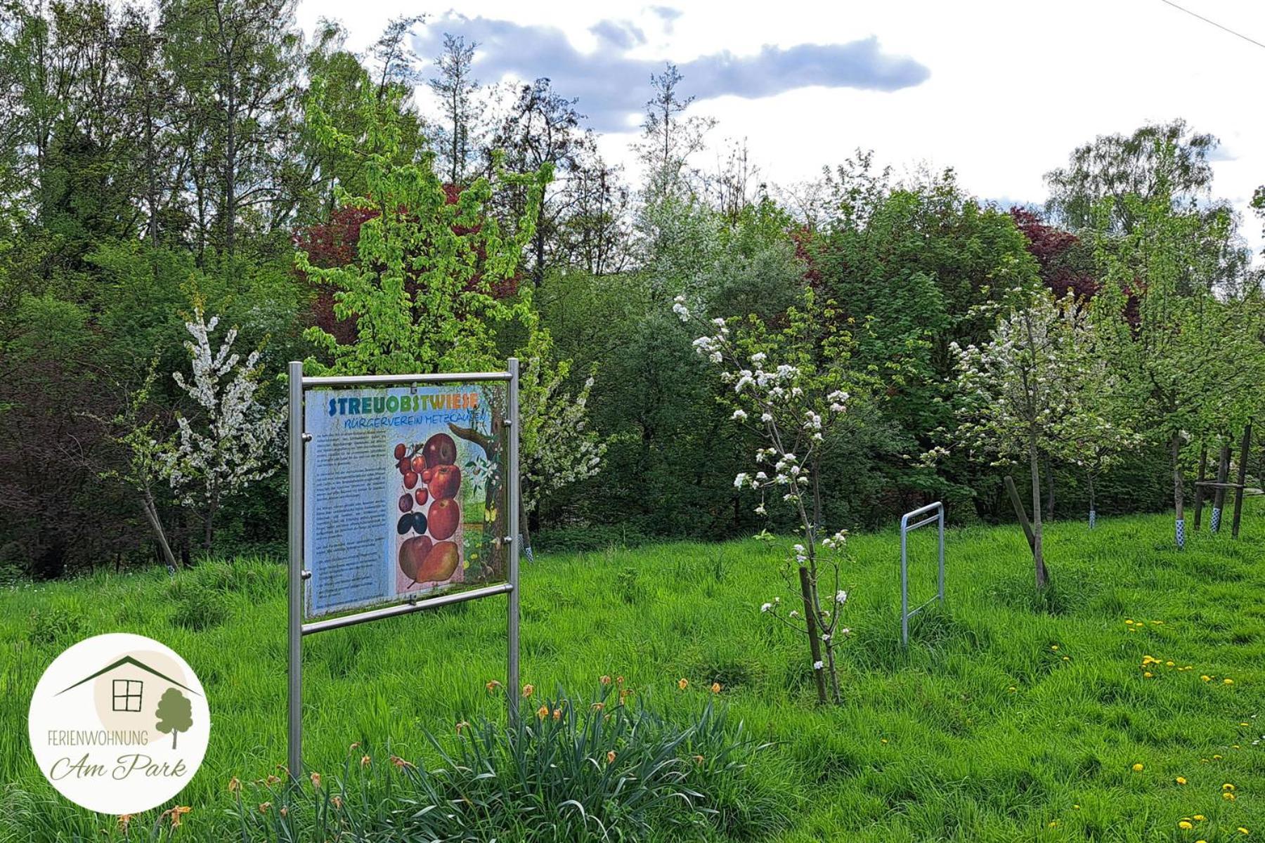 Grosszuegige Wohnung Am Comberg-Park Mettmann Exterior photo